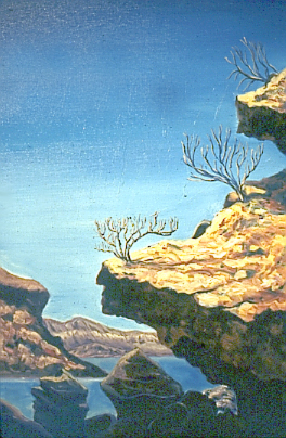 Baja Rocks